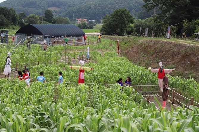 Incheon Ganghwado Island Peace 1 Day Tour(from Seoul) by Trippose - Common Questions