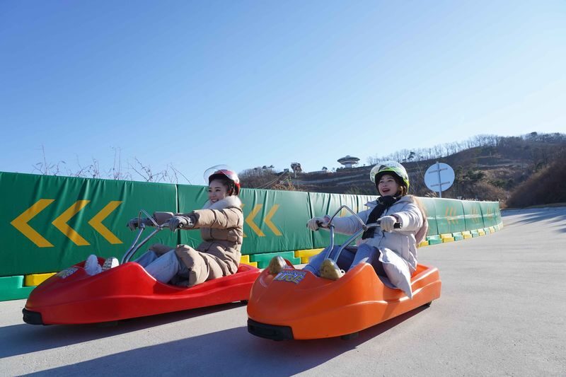 Incheon & Gyeonggi Winter Day Tour from Seoul - Aegibong Peace Ecopark: a border-area stop with rules