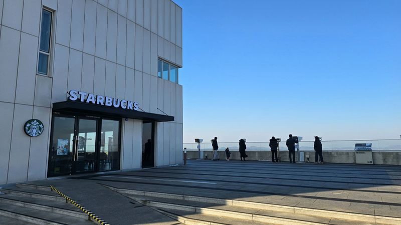 Incheon & Gyeonggi Winter Day Tour from Seoul - Onemount, sledding, and the light show