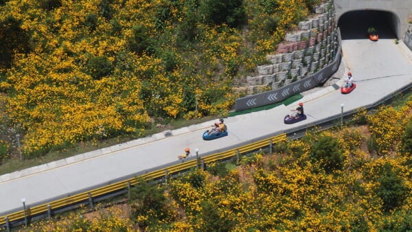 Incheon Luge & Railbike & Gaehangjang & Haneul Park - Questions You May Have