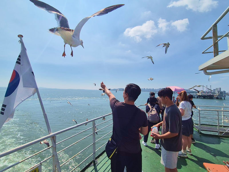 Incheon One Day Tour from Seoul: Cherry Blossoms, Luge & Rail Bike - Wolmido and the short ferry ride