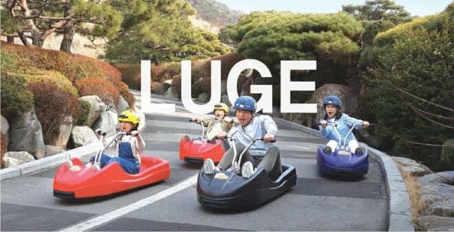 Incheon Private Tour | Luge / Honey Rice Cake / Amoene Cafe - Luge Experience Highlights