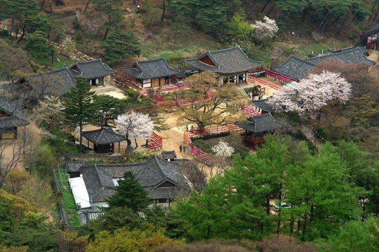 Incheon Private Tour| Luge/Jo Yang Bangjik Cafe/Jeondeungsa - Key Points