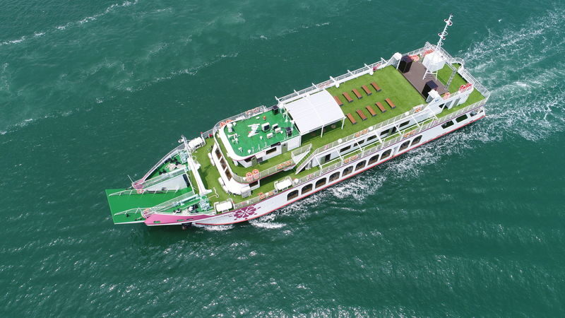 Incheon Wolmido Sightseeing & Fireworks Cruise with Live Shows & Seagull Feeding - Seagull feeding from the outdoor deck