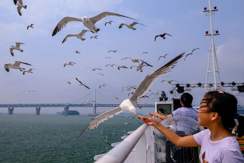 Incheon Wolmido Sightseeing & Fireworks Cruise with Live Shows & Seagull Feeding - Getting to the Wolmido ticket office