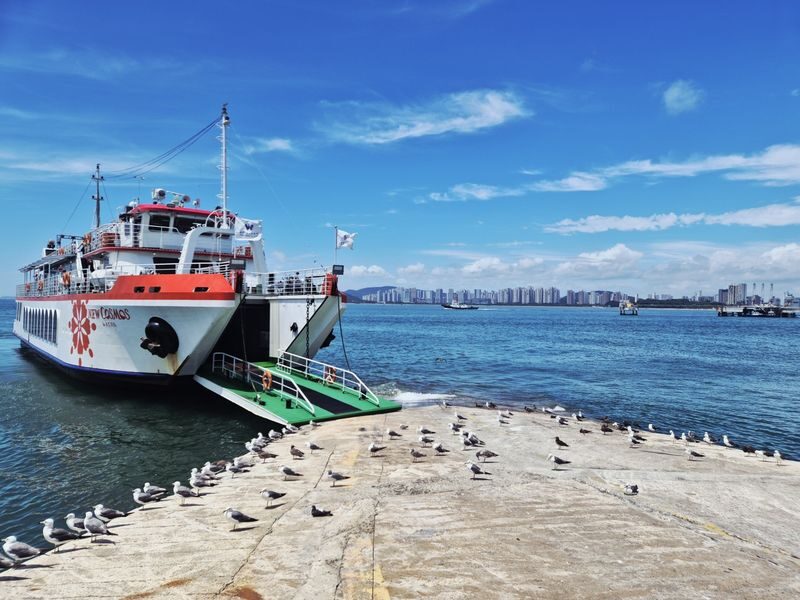 Incheon Wolmido Sightseeing & Fireworks Cruise with Live Shows & Seagull Feeding - Should you book this Incheon cruise?