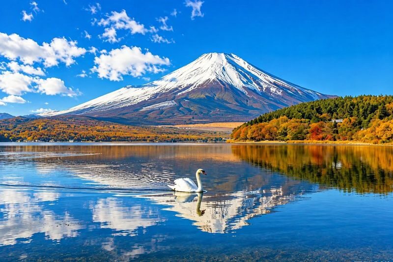 (Includes Hakone Ropeway Ticket) Mount Fuji & Hakone Instagrammable Day Tour: Owakudani, Lake Ashi Pirate Ship, Lake Yamanaka Swan Feeding, Oshino Hakkai (Departing from Tokyo) - Lake Yamanaka, swans and a chance at Fuji