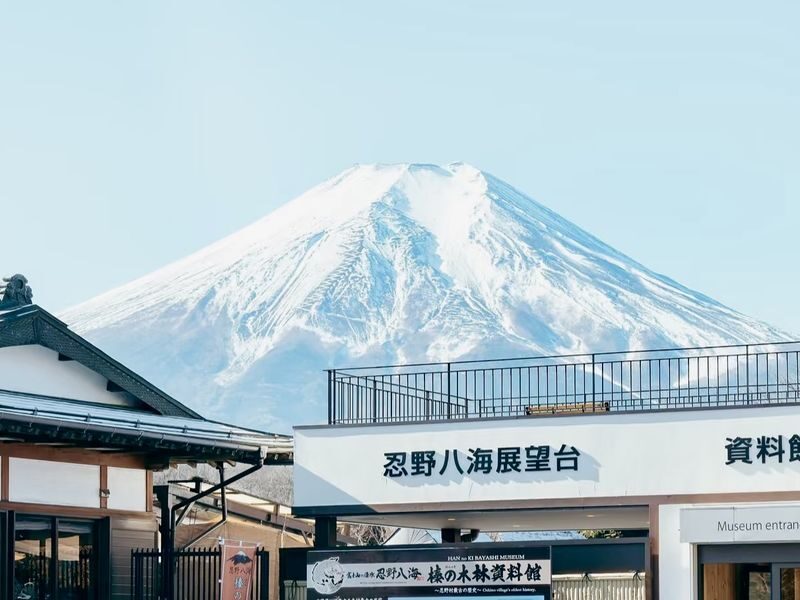 (Includes Hakone Ropeway Ticket) Mount Fuji & Hakone Instagrammable Day Tour: Owakudani, Lake Ashi Pirate Ship, Lake Yamanaka Swan Feeding, Oshino Hakkai (Departing from Tokyo) - Should you book this Mount Fuji and Hakone day tour?