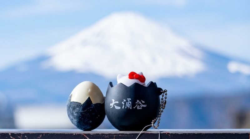 (Includes Owakudani Ropeway Ticket) Mount Fuji & Hakone Panoramic Photo Spot Day Tour: Owakudani, Lake Ashi Pirate Ship, Lake Yamanaka, Oshino Hakkai (Departing from Tokyo) - The Price, What’s Included, and What It Buys You