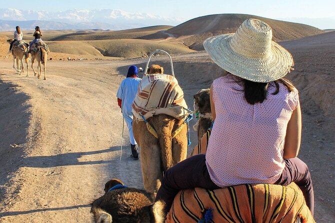 (Including Pick-Up) Camel Rides, Quad Bikes, and Diner in Agafay - Good To Know
