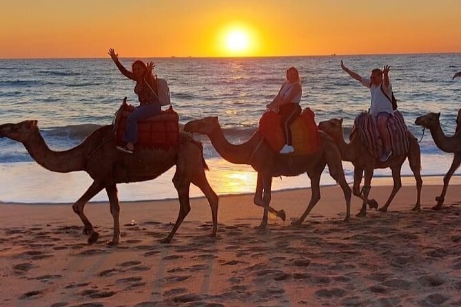 Inclusive Beach Camel Ride, Cap Spartel, Hercules & Full Dinner - Beach Camel Ride