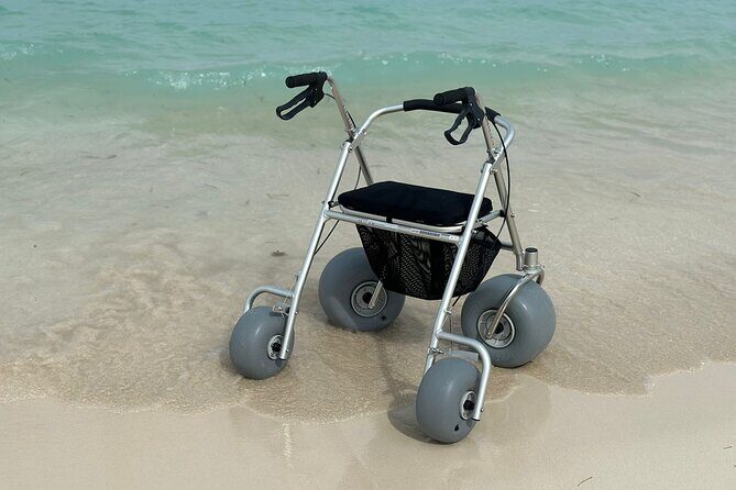 Inclusive Beach Fun Walker Rentals for All in Turks and Caicos - Who Should Rent This?  