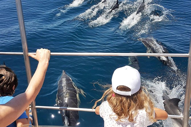 Incredible Dolphin Watching Experience on Our Family Friendly Catamaran - Lagos - Logistics and Meeting Point