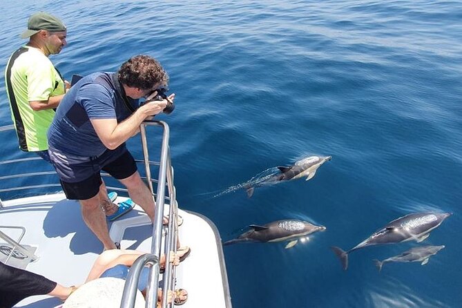 Incredible Dolphin Watching Experience on Our Family Friendly Catamaran - Lagos - Cancellation Policy Details