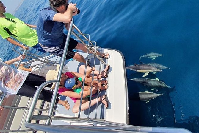Incredible Dolphin Watching Experience on Our Family Friendly Catamaran - Lagos - Customer Reviews Overview