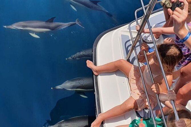 Incredible Dolphin Watching Experience on Our Family Friendly Catamaran - Lagos - Booking Information and Tips