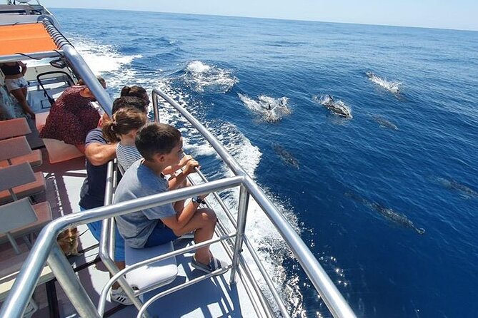 Incredible Dolphin Watching Experience on Our Family Friendly Catamaran - Lagos - The Sum Up
