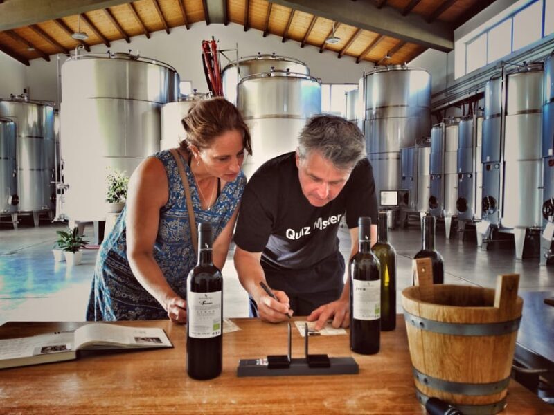 Incredible experience in a organic company - A Close-Up Look at the Sicilian Organic Wine Experience