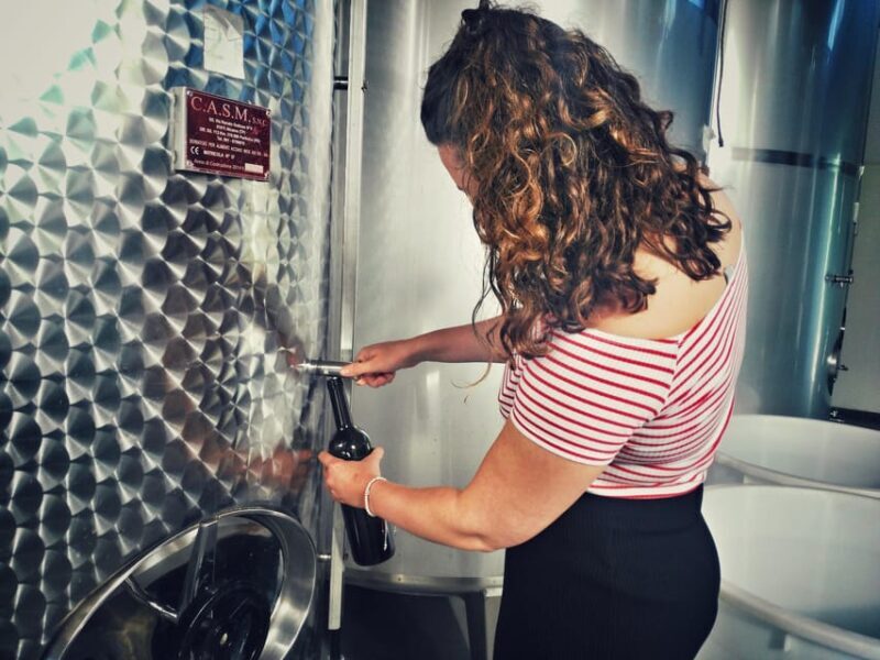 Incredible experience in a organic company - What Sets This Tour Apart?