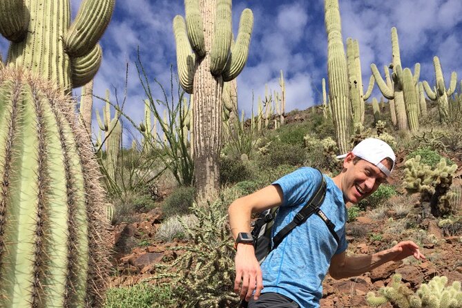 Incredible Hidden Valley Petroglyph Hiking Adventure in the Sonoran Desert - Adventure Highlights