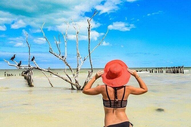 Incredible Holbox Island Tour Punta Mosquito only from Tulum - Introducing the Incredible Holbox Island Tour Punta Mosquito from Tulum