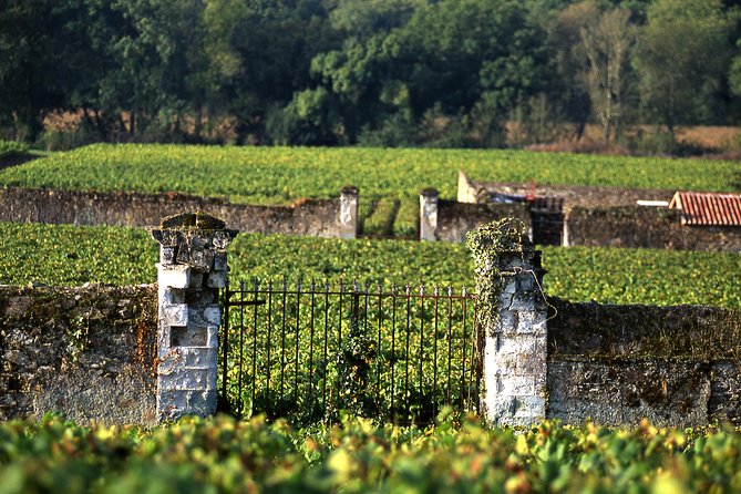 Incredible Loire Castles Tour With Wine Tastings and Lunch - Cancellation Policy