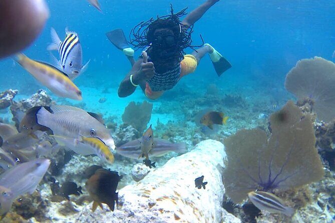 Incredible Negril Guided Snorkeling To Reef, Anchor, and Cannon - Good To Know