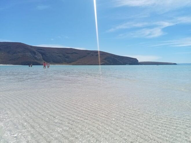 Incredible Private Tour to La Paz and Todos Santos in B.C.S - Frequently Asked Questions