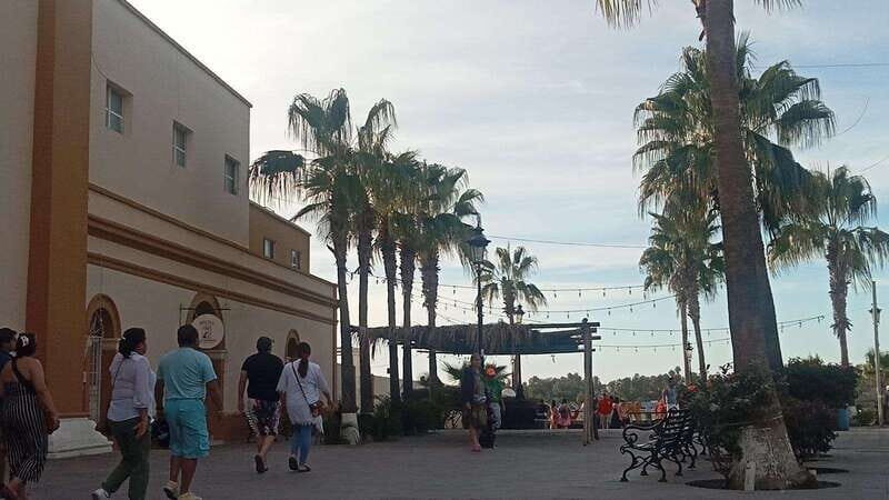 Incredible Private Tour to Todos Santos Magical Town - Good To Know