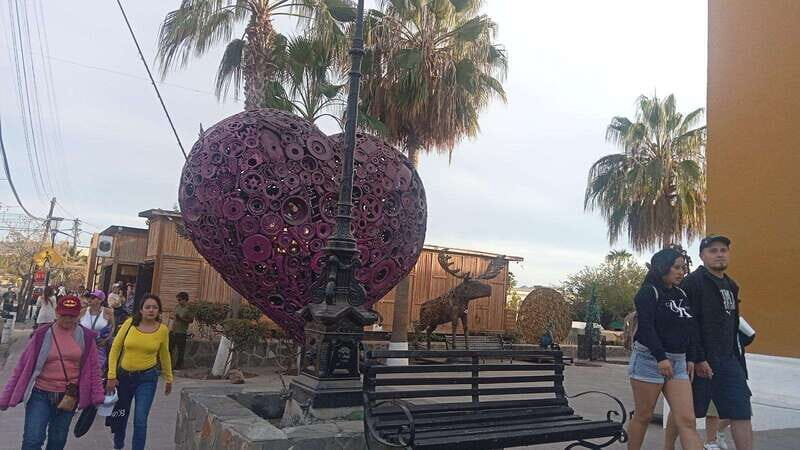 Incredible Private Tour to Todos Santos Magical Town - Why This Tour Works Well