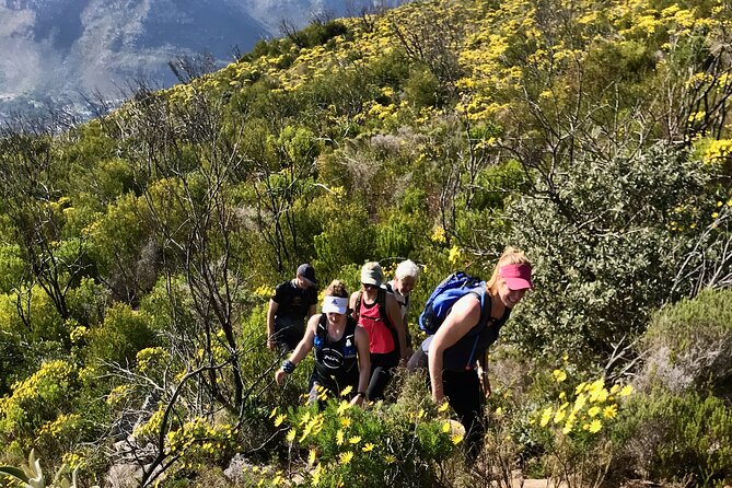 Incredible Table Mountain Guided Day Hike or Trail Run - The Sum Up
