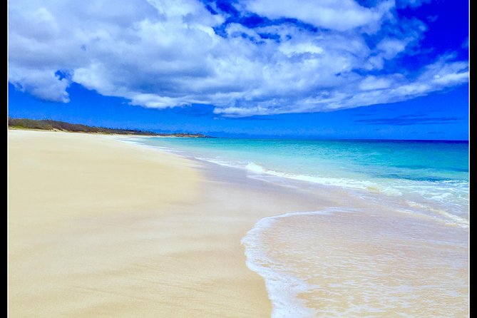 Incredible West Side Hidden Gems of Oahu(Optional Tour With Celebrity Hula Dog) - Meeting and Pickup Details