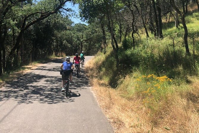 Independent Hassle-free Bike Rental in Sonoma - Logistics