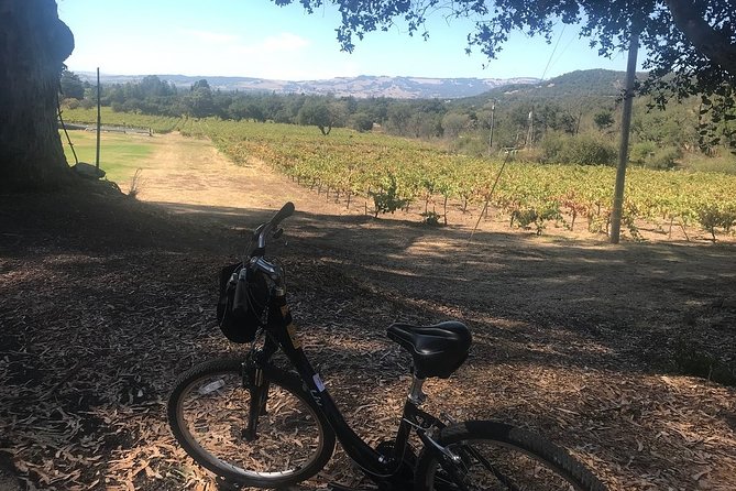 Independent Hassle-free Bike Rental in Sonoma - Cancellation Policy
