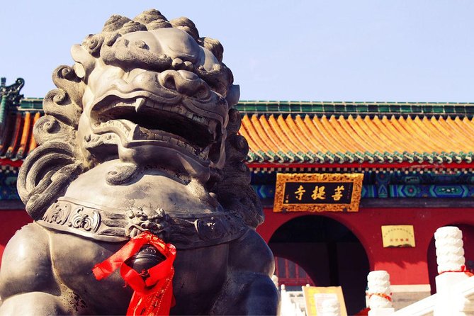 Independent Tour to Shaolin Temple and Longmen Grottoes From Zhengzhou - Pickup Instructions