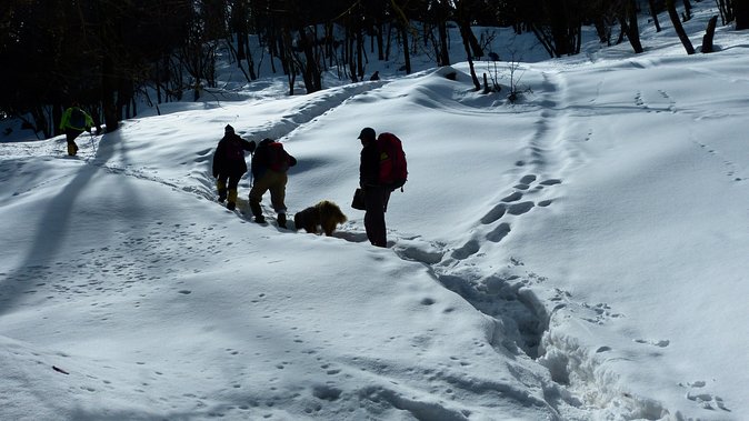 India Kedarkantha Five Day Hiking Tour  - Sankri - Tour Highlights