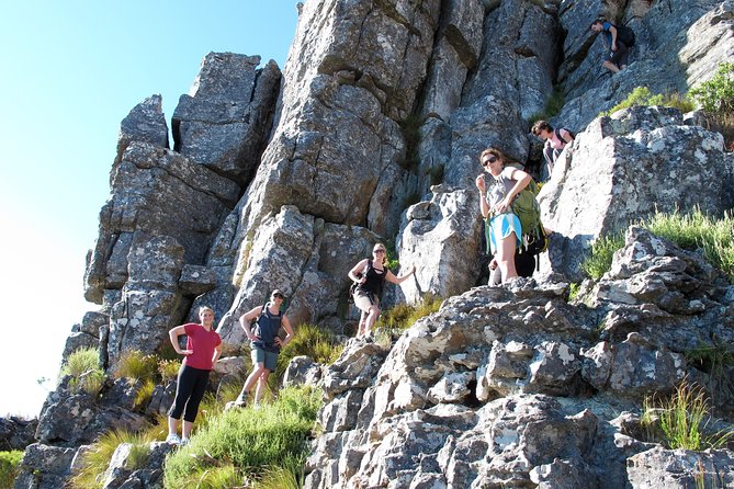 India Venster Route: Hiking in Table Mountain From Cape Town - Booking and Availability