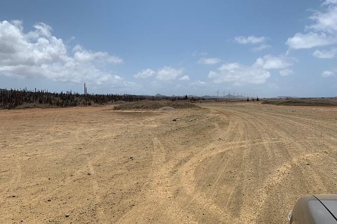 Indian Inscriptions Tour with Local Guide - Who Should Consider This Tour?