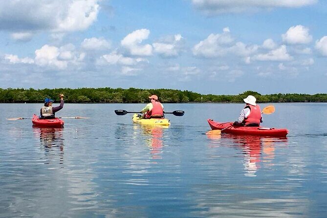 Indian River Lagoon Preserve Kayak Tour - What You Can Expect on the Indian River Lagoon Kayak Tour
