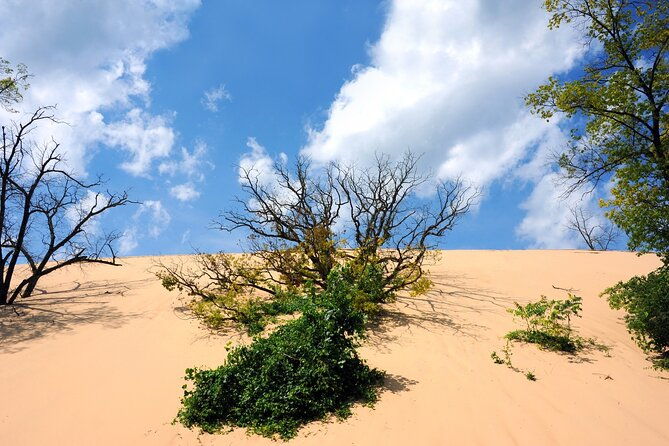 Indiana Dunes National Park Self-Guided Audio Tour - Additional Trails and Scenic Spots