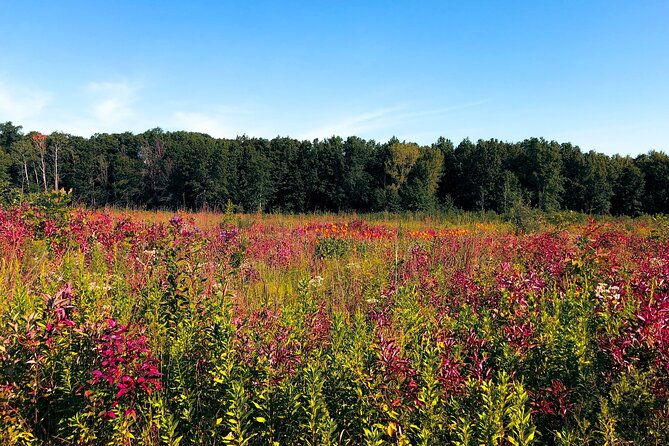 Indiana Dunes National Park Self-Guided Audio Tour - The Sum Up