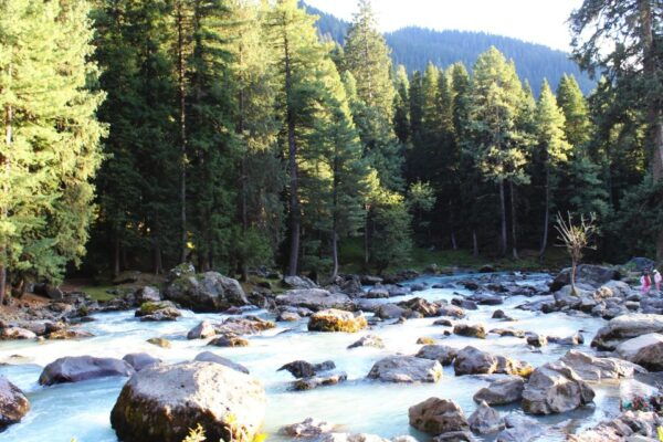 Indias Magic: an Exclusive Journey. - Additional Information