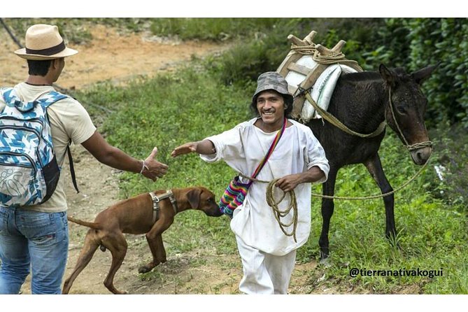 Indigenous Community Kogui Uldezhaxa Spend 1 Day on a Trompito - Indigenous Guide and Ancestral Stone