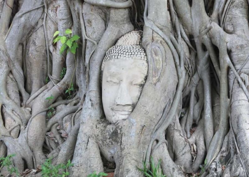 Individual 8 hours private trip - Bangkok/Ayutthaya - Good To Know