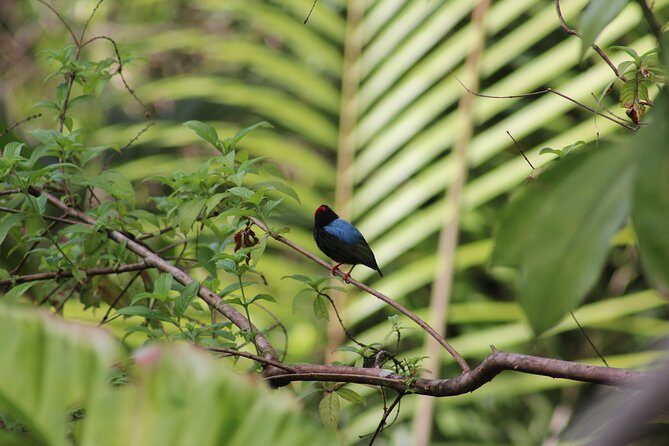 Individuelle Regenwald Tour - Frequently Asked Questions