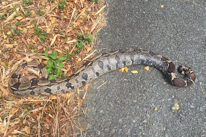 Individuelle Regenwald Tour - Final verdict