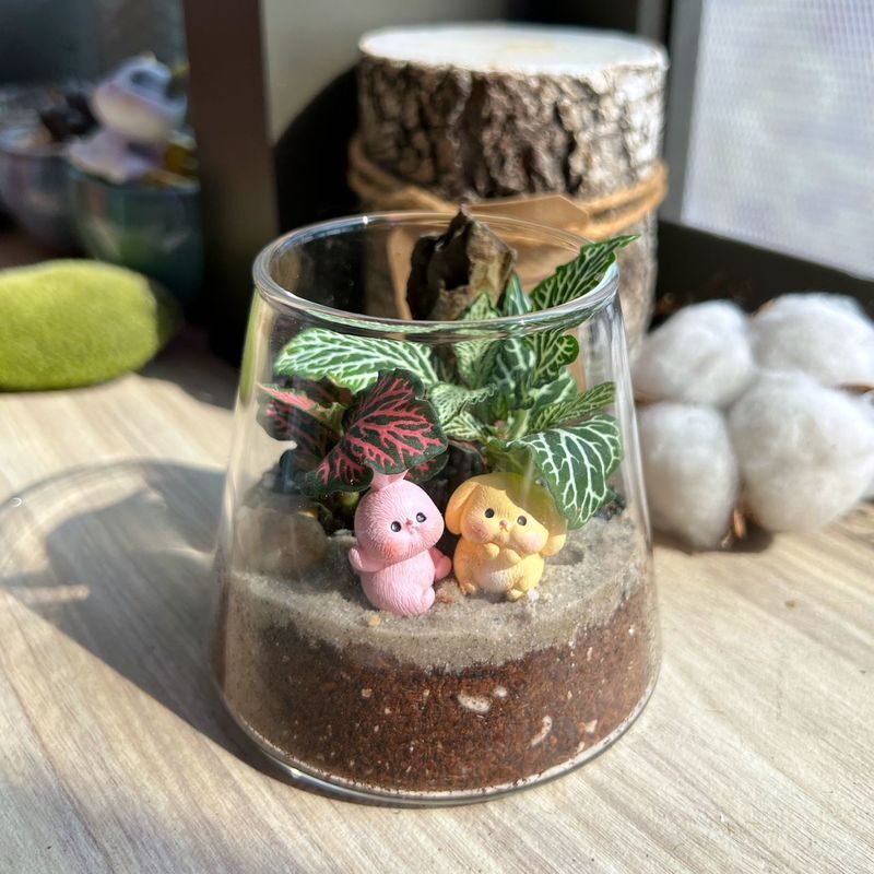 Indoor Plant and Moss Terrarium Workshop by Little Eden Succulents - Making a miniature garden at The Nest PJ