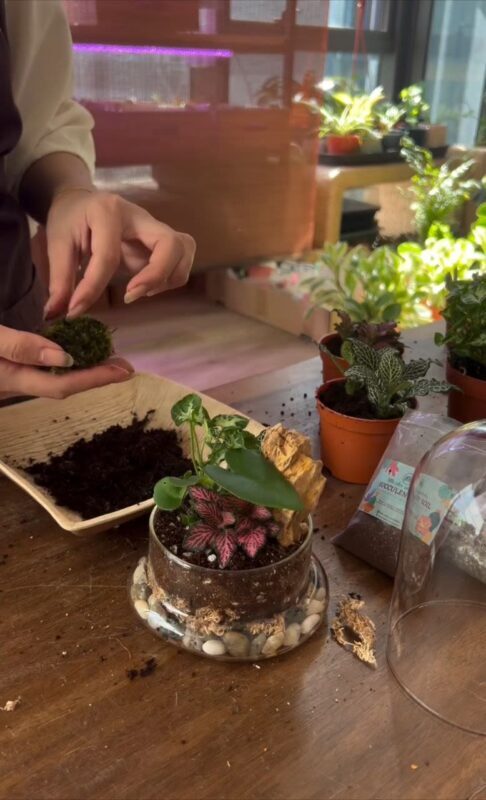 Indoor Plant and Moss Terrarium Workshop by Little Eden Succulents - A small project with a useful afterlife