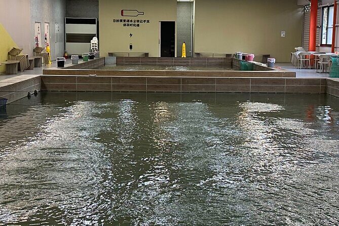 Indoor Shrimp Fishing Experience and National Palace Museum - FAQ