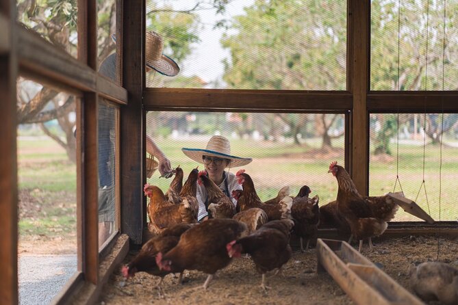 Indulge in Authentic Thai Flavors and Serene Organic Farm (Full Day Course) - Learn Sticky Rice and Dessert Recipes
